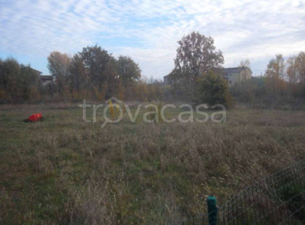 immagine annuncio 10 di 13