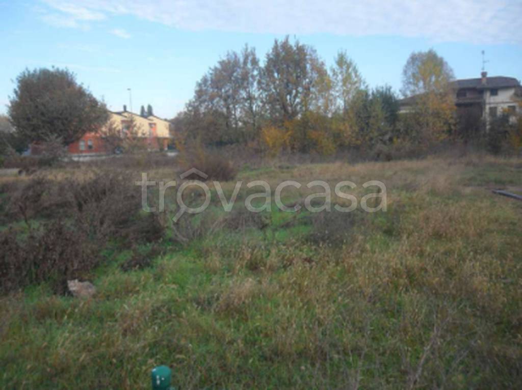 immagine annuncio 11 di 13