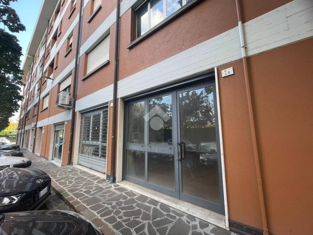 immagine annuncio 1 di 12