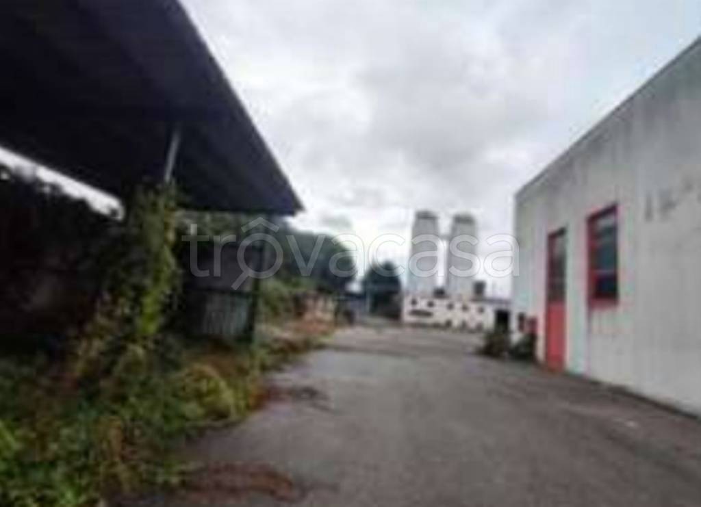 immagine annuncio 5 di 13