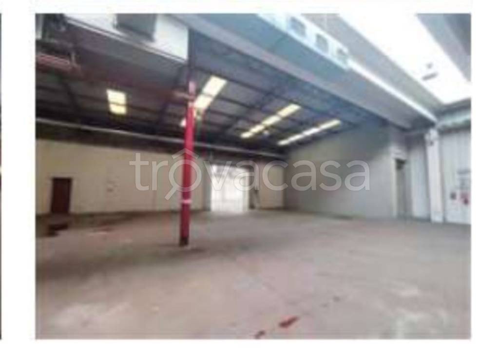 immagine annuncio 11 di 13