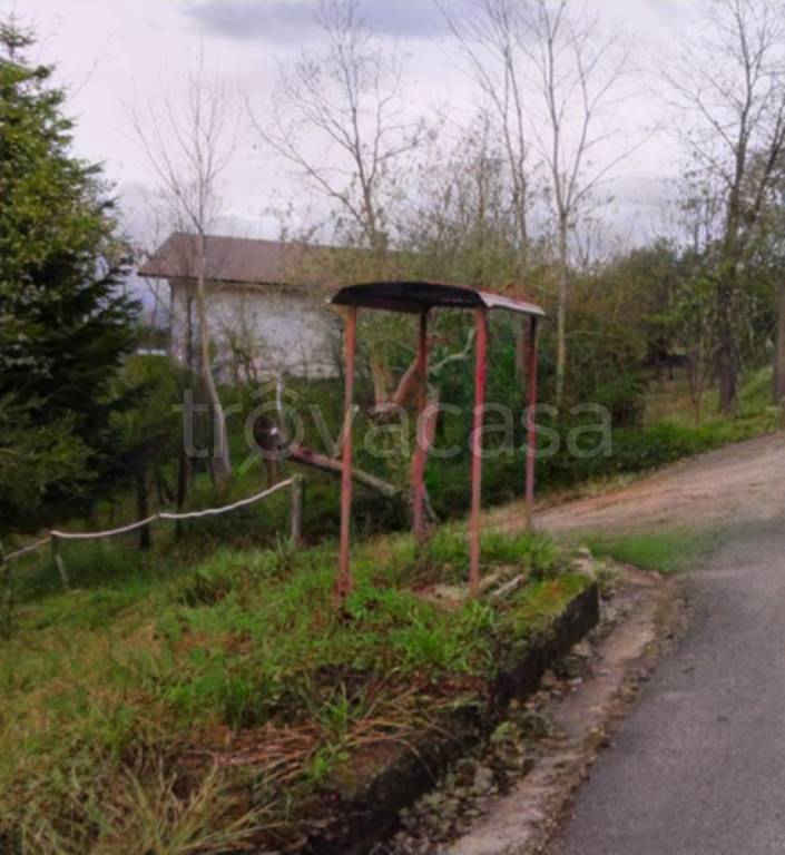 immagine annuncio 4 di 13