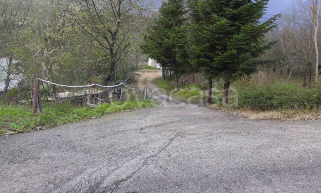 immagine annuncio 5 di 13