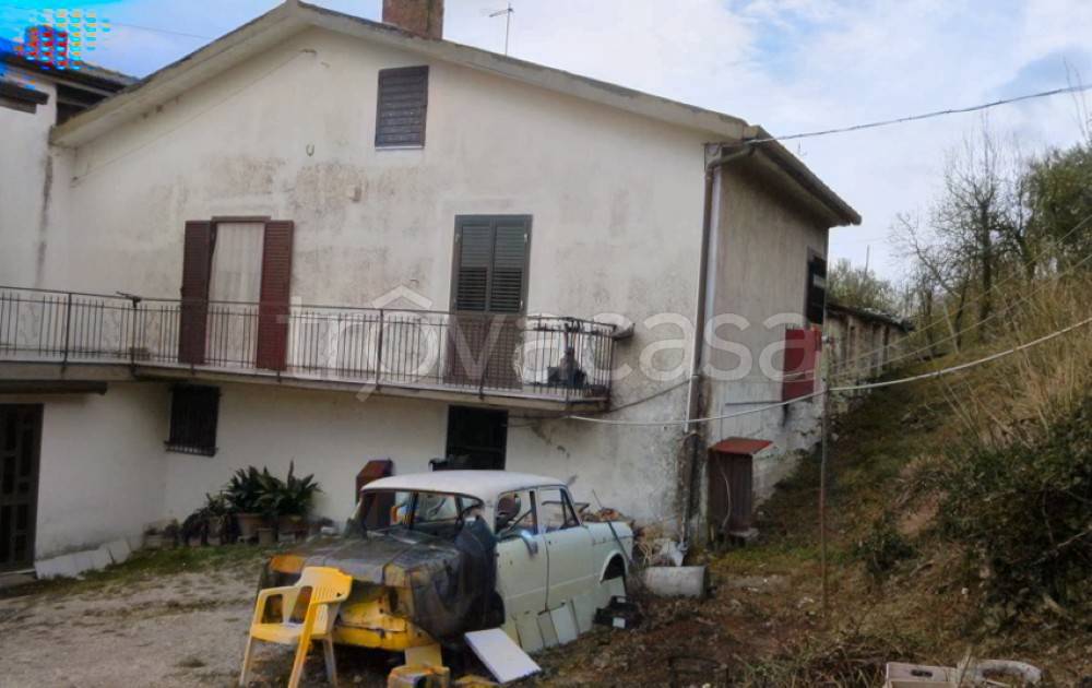 immagine annuncio 1 di 14