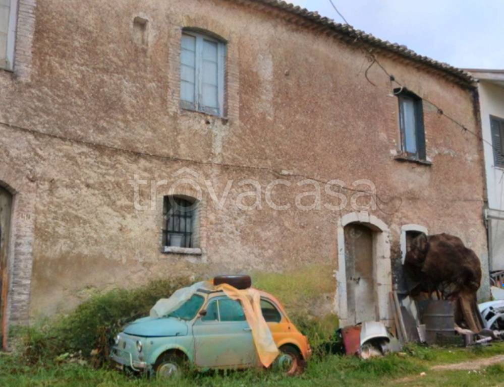 immagine annuncio 11 di 13