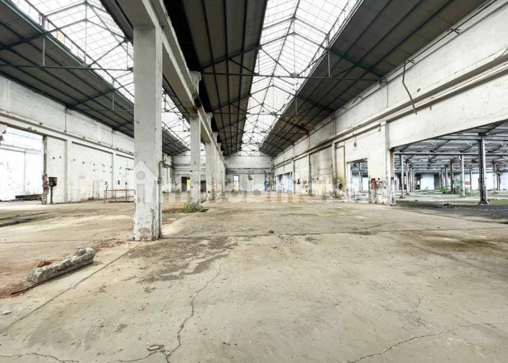 immagine annuncio 2 di 12