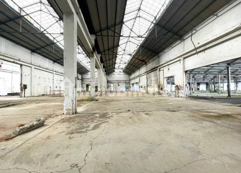 immagine annuncio 9 di 12