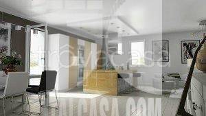 immagine annuncio 5 di 14