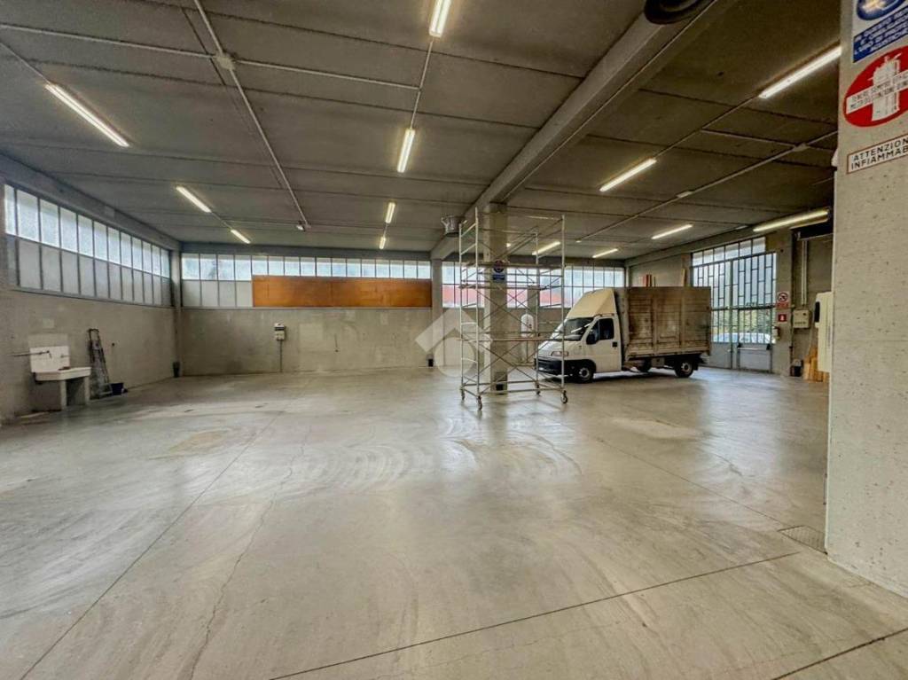 immagine annuncio 1 di 14