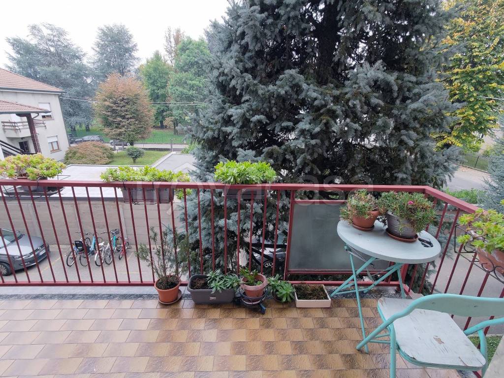 immagine annuncio 10 di 15