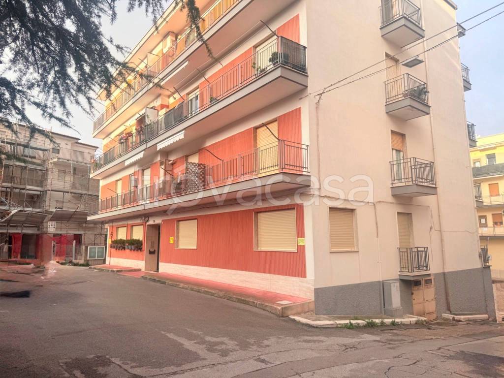 immagine annuncio 11 di 12