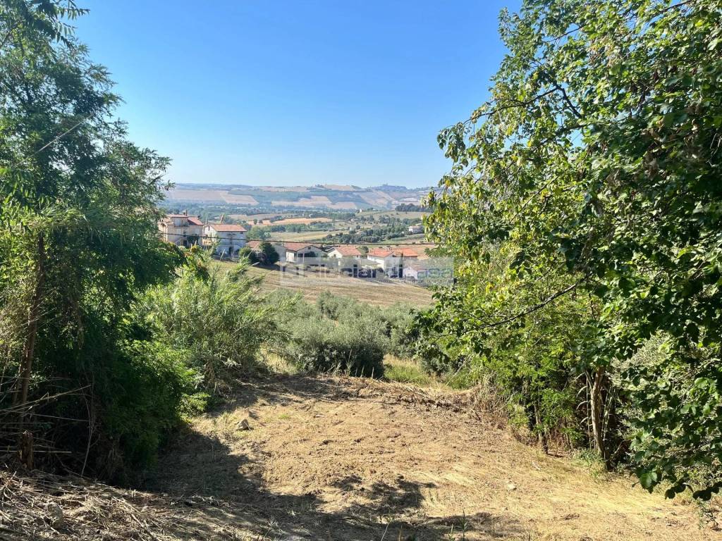 immagine annuncio 5 di 8