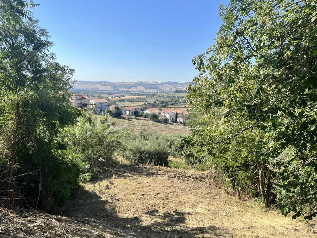 immagine annuncio 6 di 8