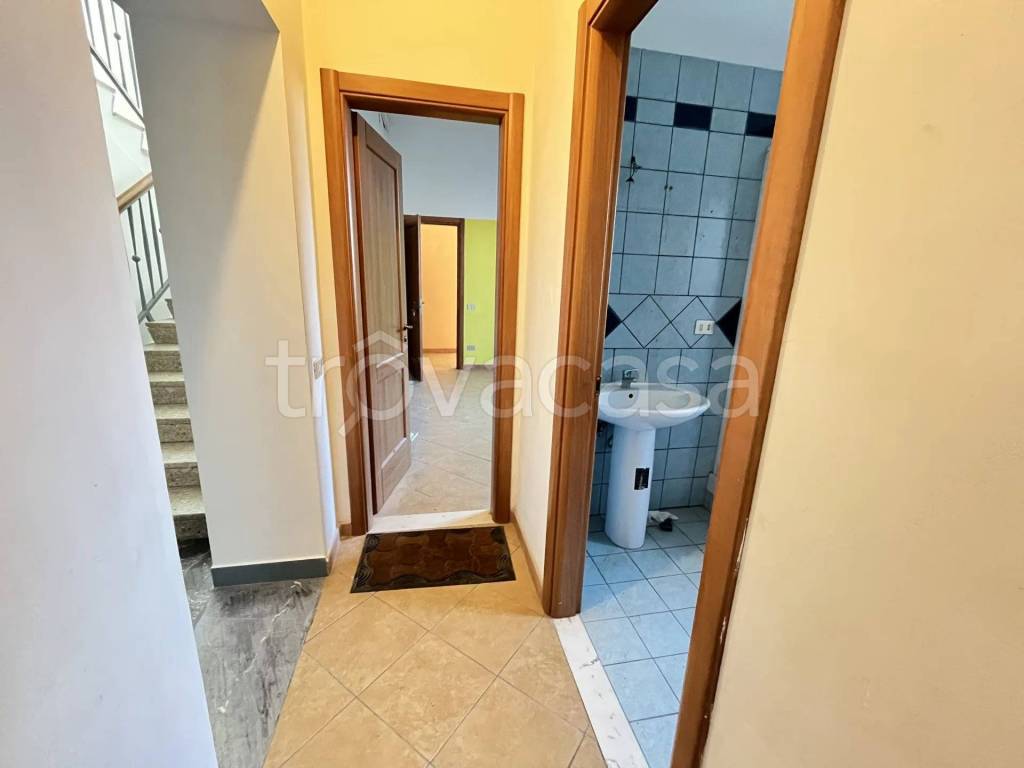 immagine annuncio 11 di 14