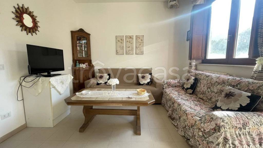 immagine annuncio 12 di 14