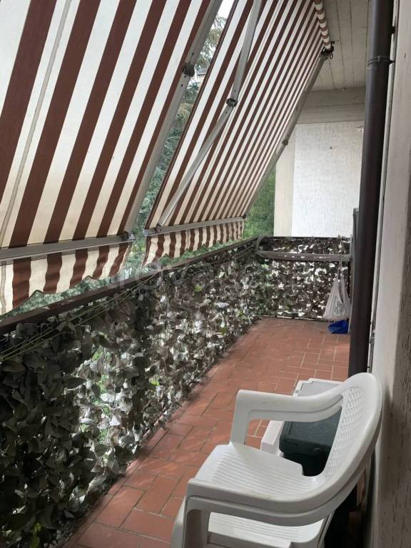 immagine annuncio 12 di 14