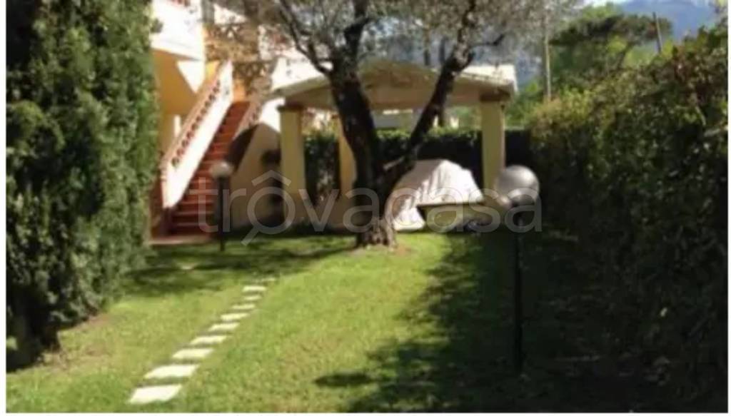 immagine annuncio 2 di 7