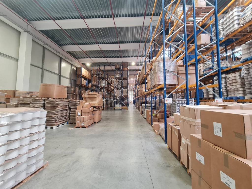 immagine annuncio 8 di 15