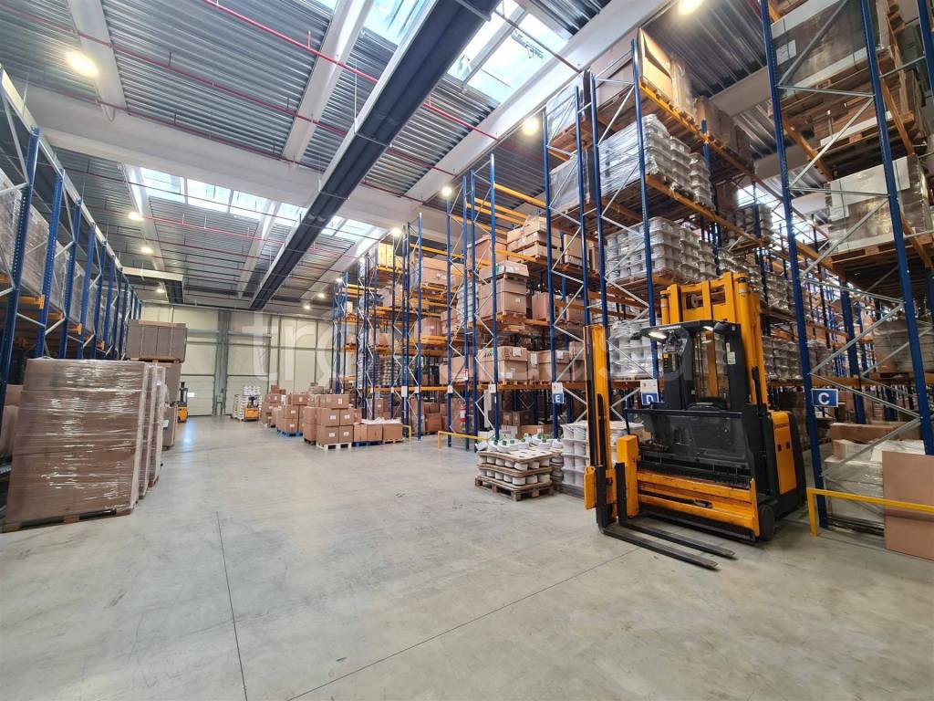 immagine annuncio 9 di 15