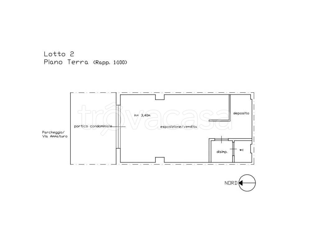 immagine annuncio 1 di 15