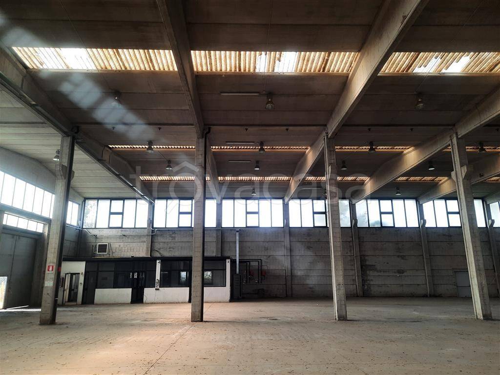 immagine annuncio 5 di 13