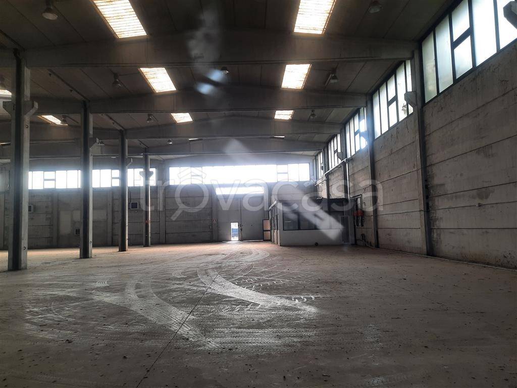 immagine annuncio 6 di 13