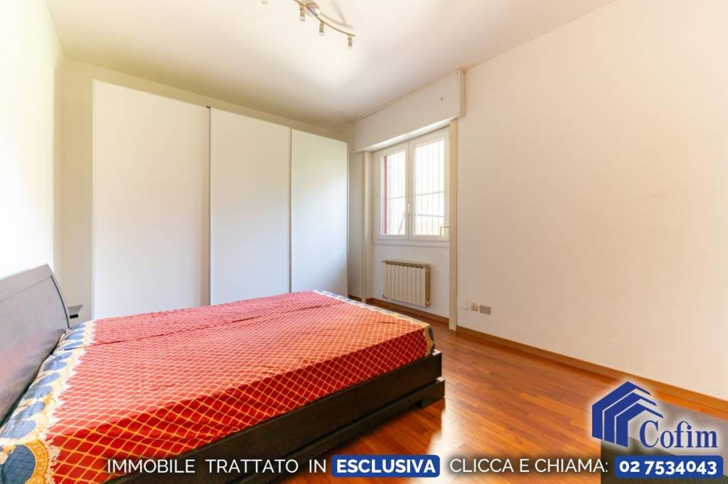 immagine annuncio 6 di 14