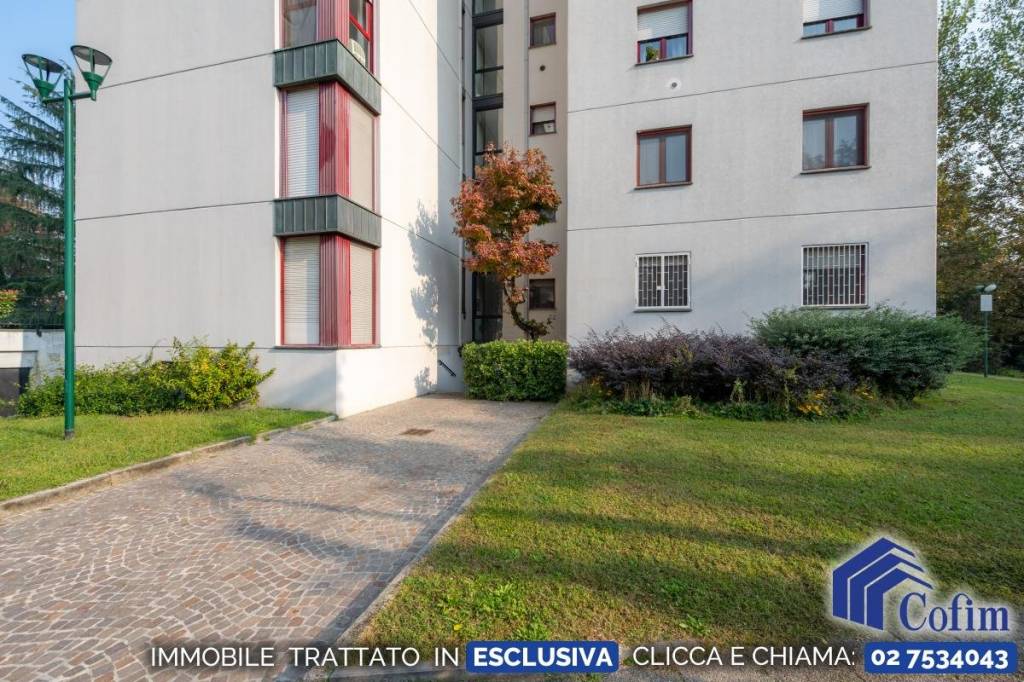 immagine annuncio 1 di 14