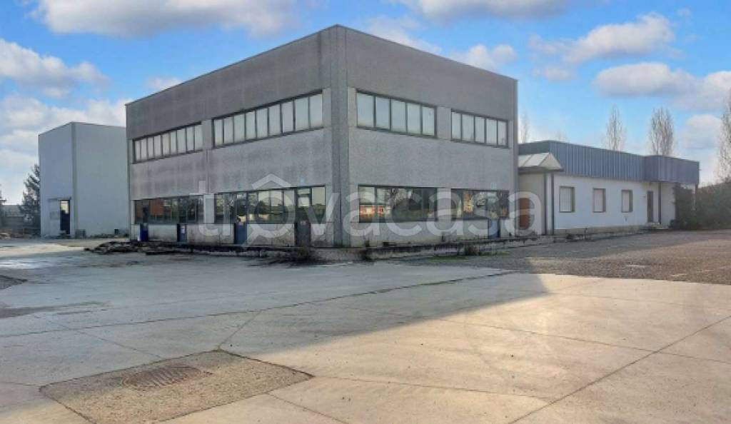 immagine annuncio 4 di 15