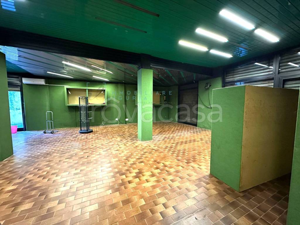 immagine annuncio 3 di 11