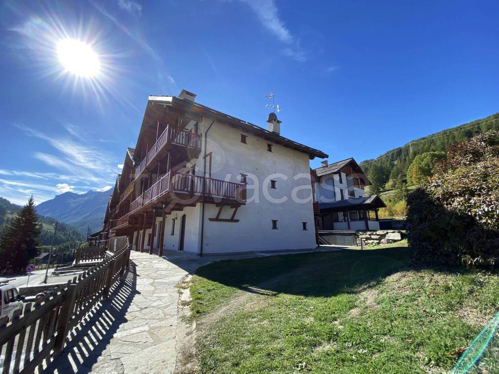 immagine annuncio 13 di 15