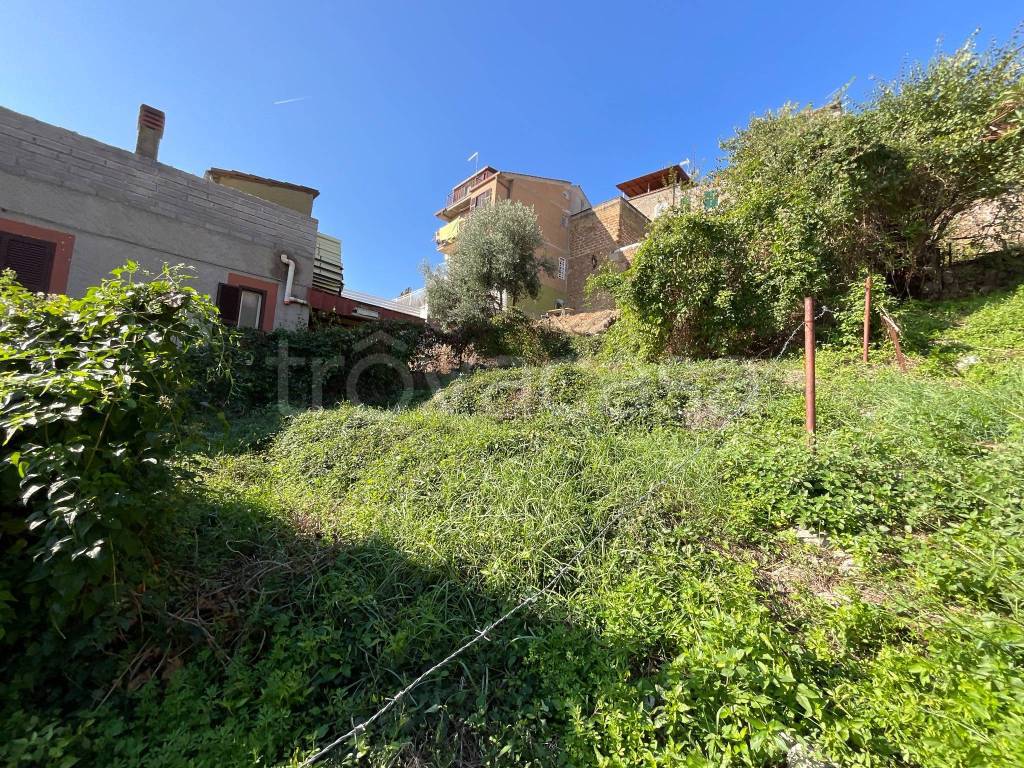 immagine annuncio 4 di 7