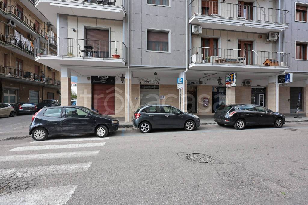 immagine annuncio 4 di 6