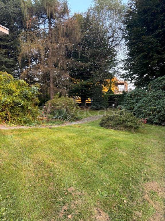 immagine annuncio 2 di 7