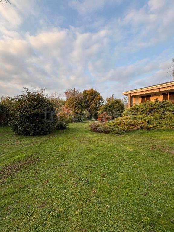 immagine annuncio 5 di 7