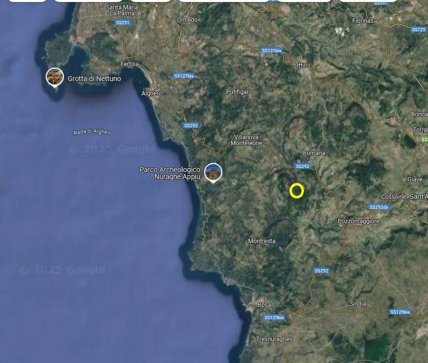 immagine annuncio 7 di 15