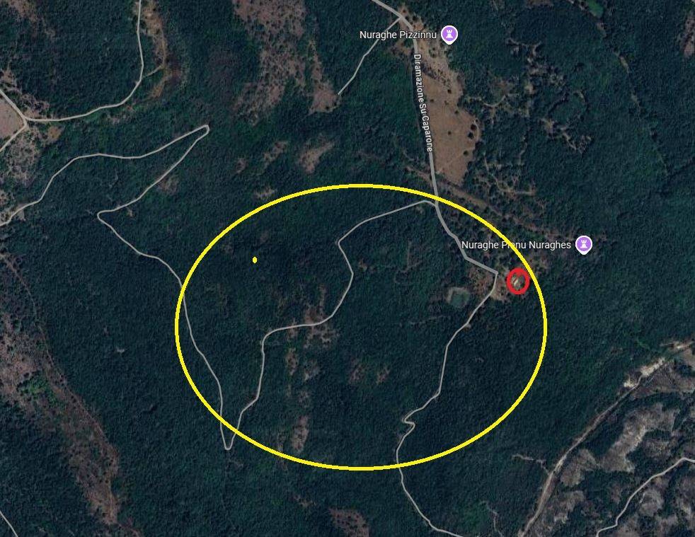 immagine annuncio 8 di 15