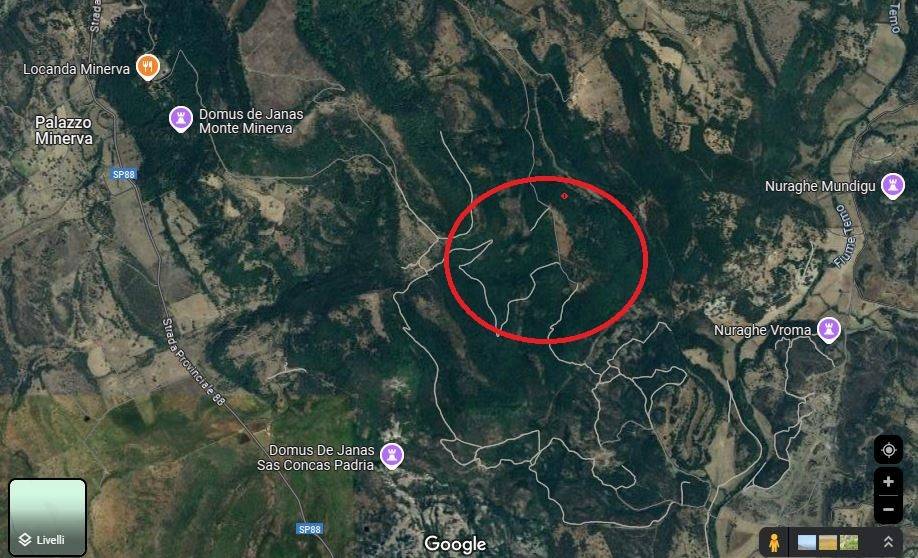 immagine annuncio 9 di 15