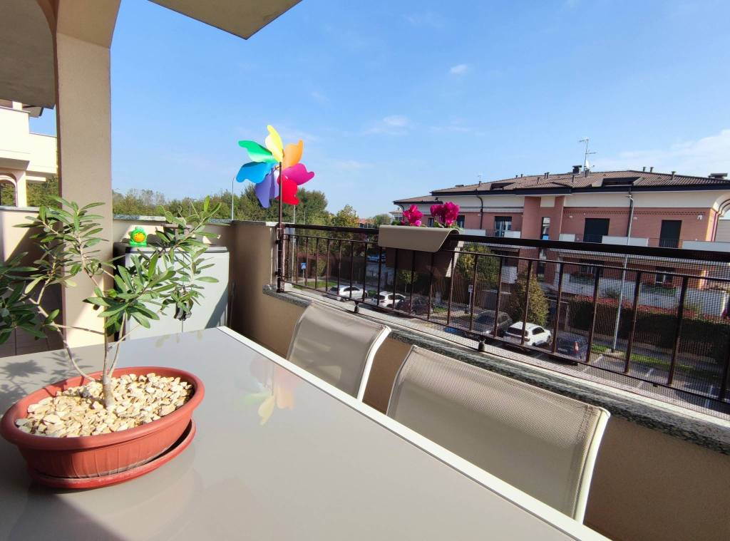 immagine annuncio 12 di 15