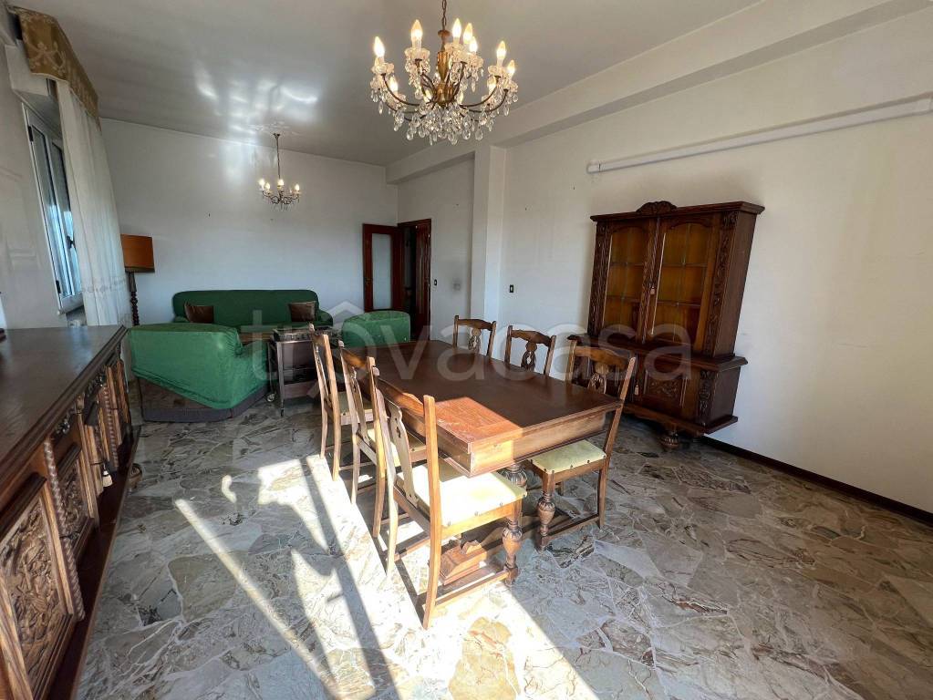 immagine annuncio 3 di 14