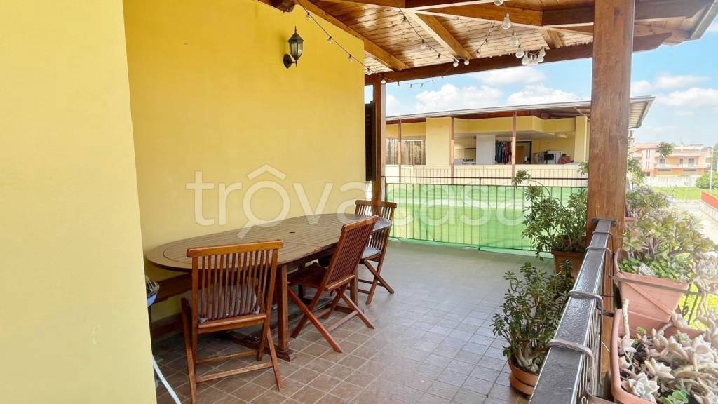 immagine annuncio 12 di 15