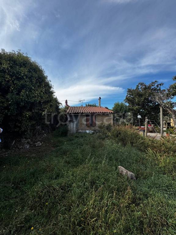 immagine annuncio 3 di 7