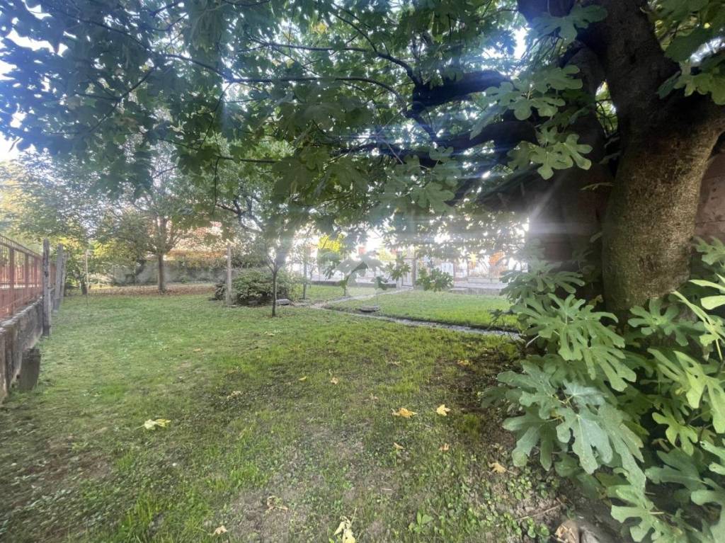 immagine annuncio 1 di 7