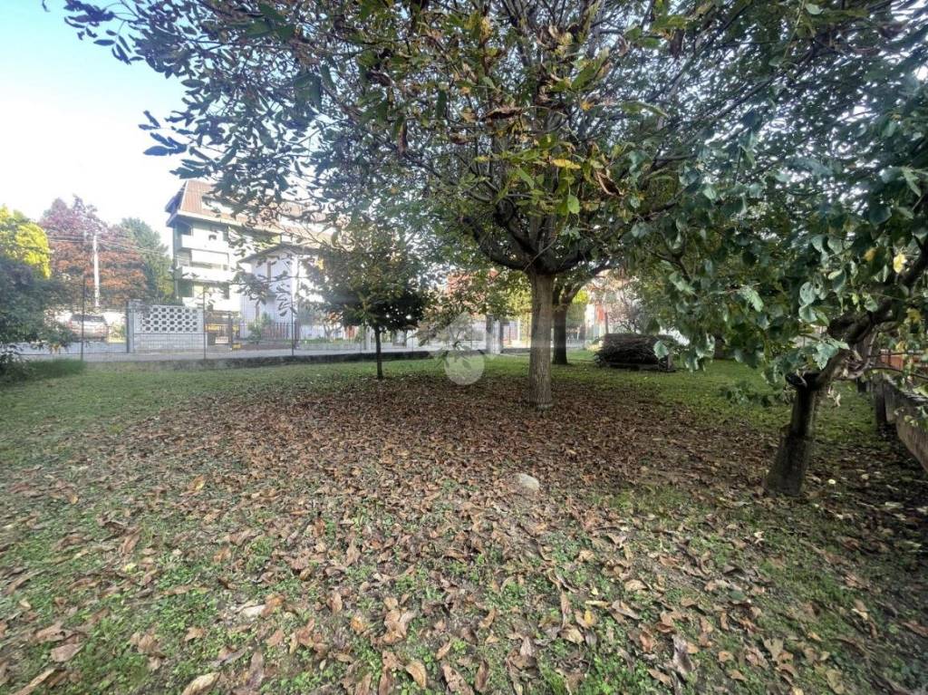 immagine annuncio 2 di 7