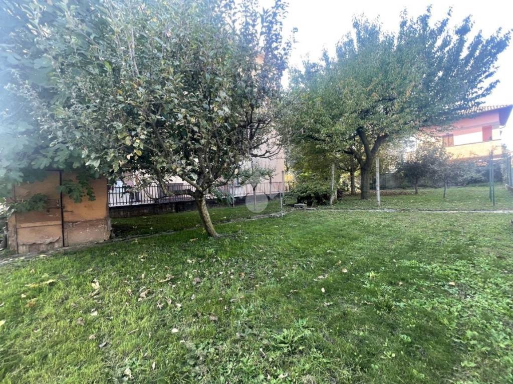 immagine annuncio 3 di 7