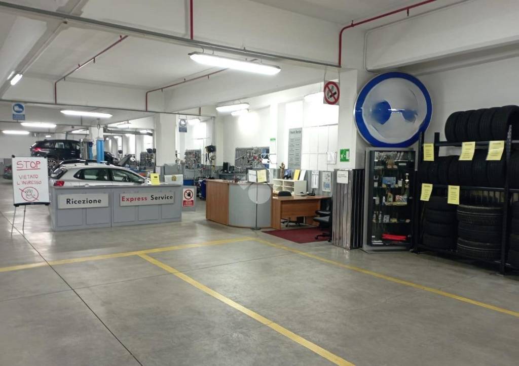 immagine annuncio 10 di 15