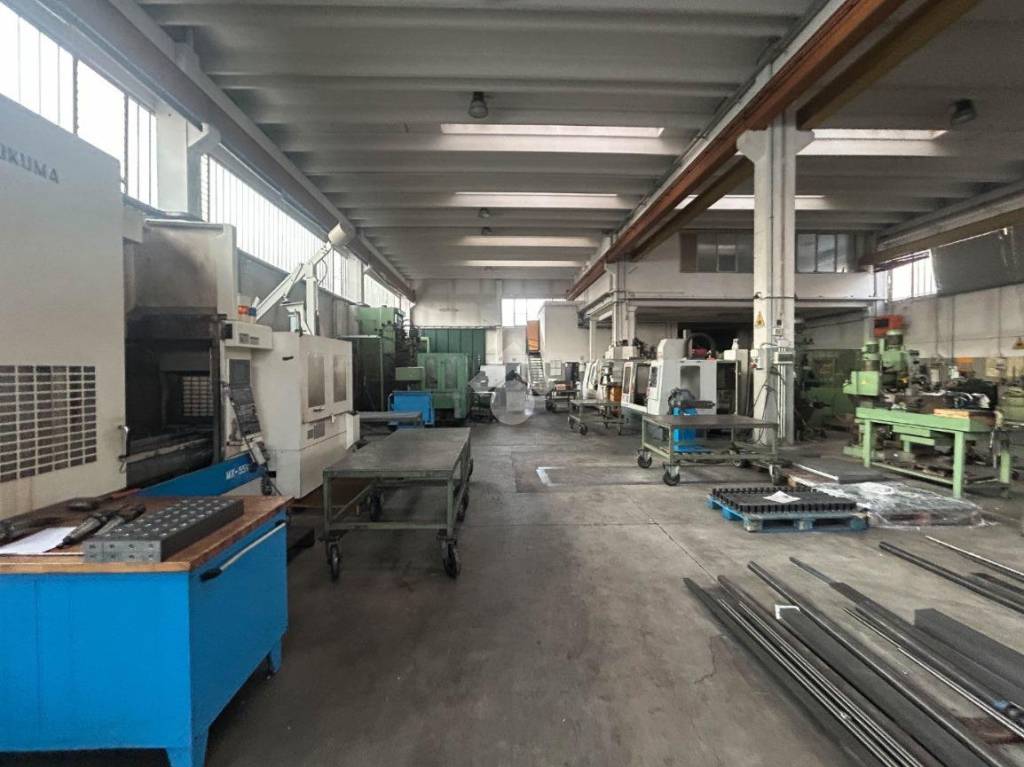 immagine annuncio 9 di 15