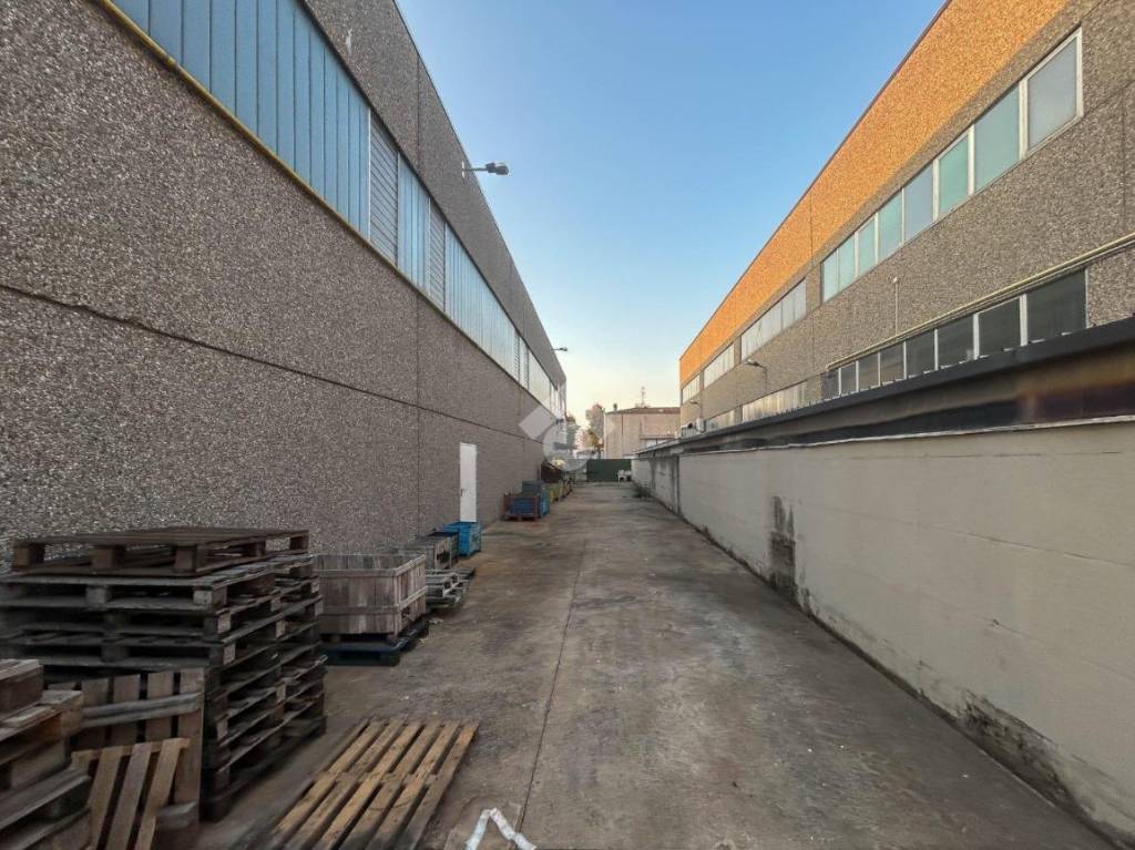 immagine annuncio 12 di 15