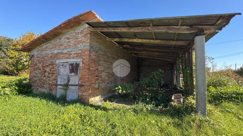 immagine annuncio 6 di 11