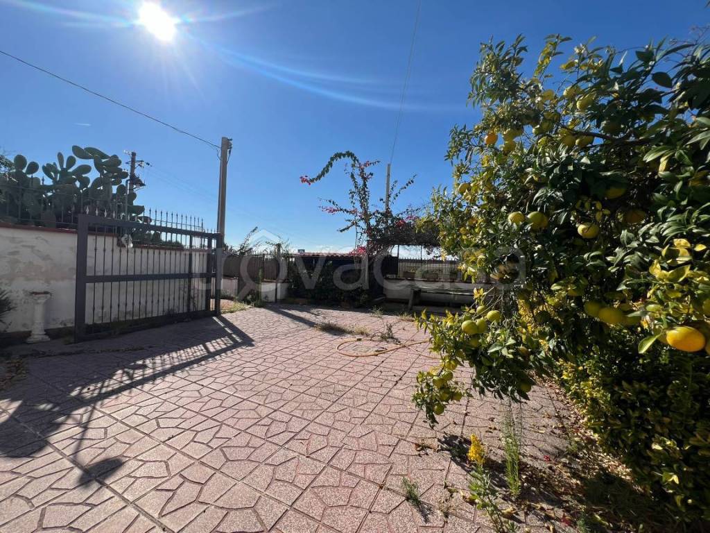 immagine annuncio 8 di 11